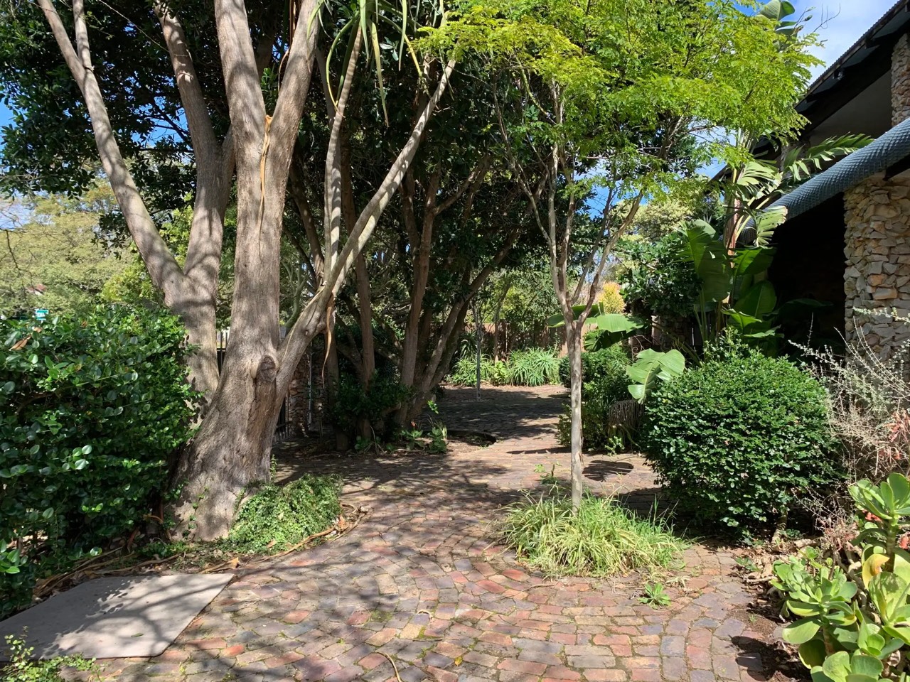Shaded brick garden pathway